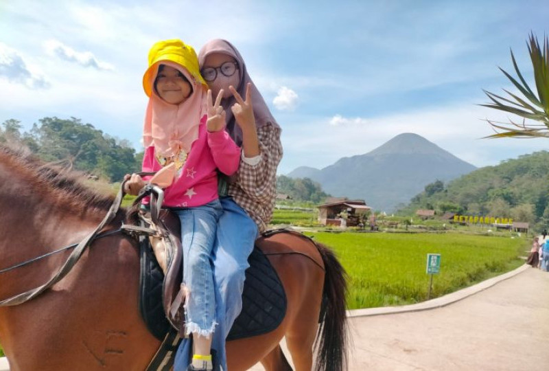 Jalan-Jalan Ke Wisata Sawah Sumber Gempong Trawas! Tiketnya Murah Meriah, Beragam Wahana Seru Tersedia!