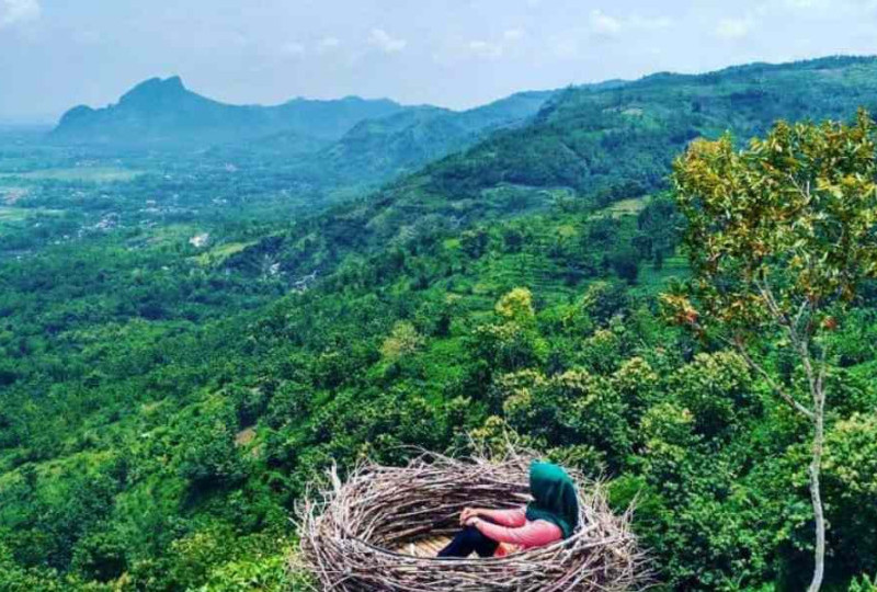 Yuk, Liburan Keluarga di Tulungagung! Ada Banyak Pilihan Wisata Selain Pantai!