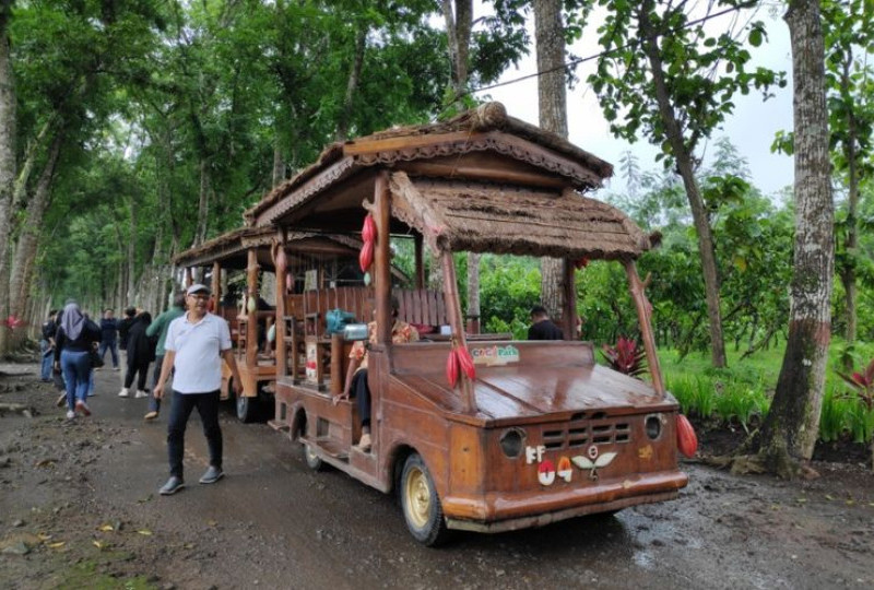 Kece Abis! Asyiknya Jalan-jalan ke Kebun Coklat Renteng Jember Buat Belajar, Puslit Jember & Cara Budidaya Kakao