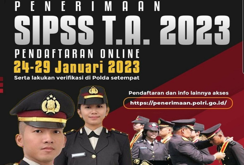 penerimaan.polri.go.id, Kenapa Website penerimaan polri tidak bisa dibuka