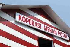 Kades di Tulungagung Bingung Jalankan Koperasi Merah Putih? Temukan Solusi dan Fakta Terbarunya di Sini!